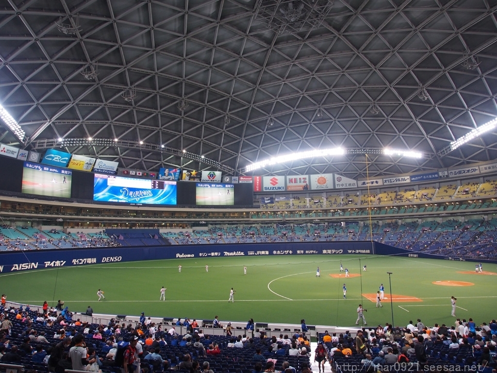 8月4日 ナゴヤドーム 中日 巨人戦 フィールドシート ペア - スポーツ